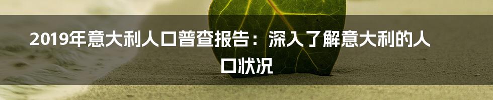 2019年意大利人口普查报告：深入了解意大利的人口状况