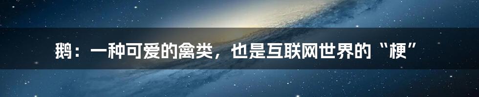 鹅：一种可爱的禽类，也是互联网世界的“梗”