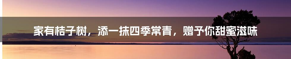 家有桔子树，添一抹四季常青，赠予你甜蜜滋味