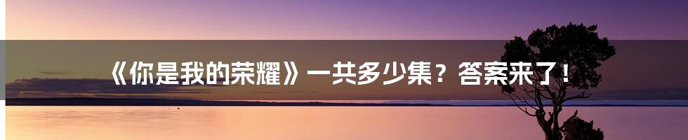 《你是我的荣耀》一共多少集？答案来了！