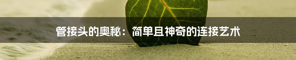 管接头的奥秘：简单且神奇的连接艺术