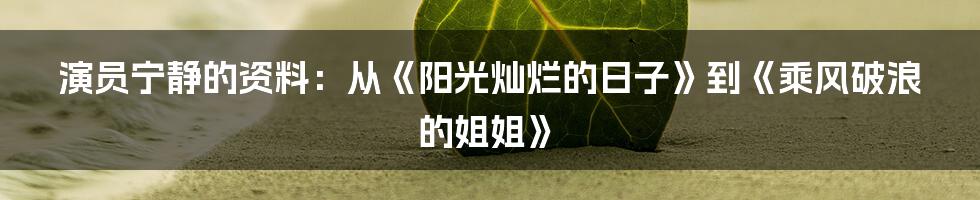 演员宁静的资料：从《阳光灿烂的日子》到《乘风破浪的姐姐》