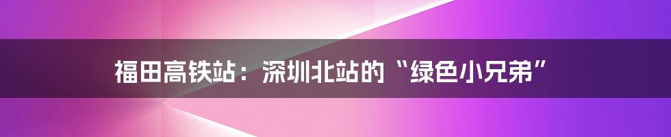 福田高铁站：深圳北站的“绿色小兄弟”