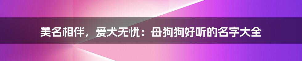 美名相伴，爱犬无忧：母狗狗好听的名字大全