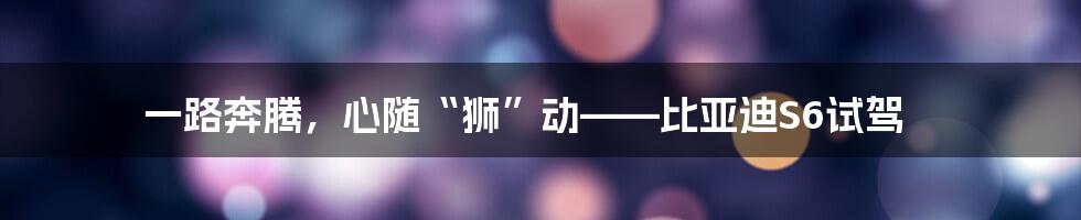 一路奔腾，心随“狮”动——比亚迪S6试驾