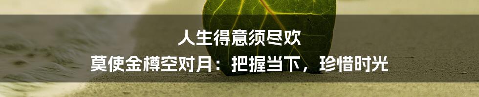 人生得意须尽欢 莫使金樽空对月：把握当下，珍惜时光