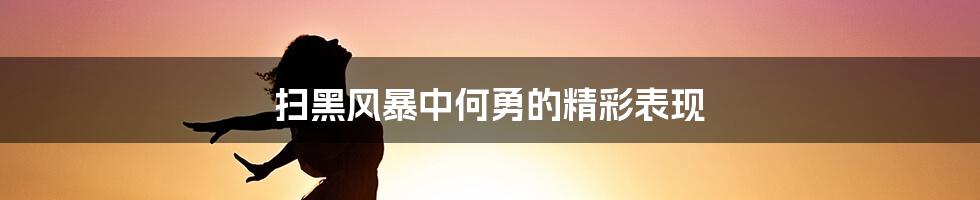 扫黑风暴中何勇的精彩表现