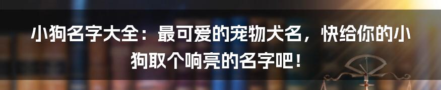 小狗名字大全：最可爱的宠物犬名，快给你的小狗取个响亮的名字吧！