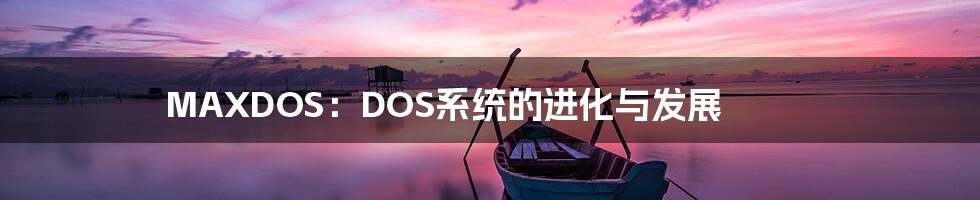 MAXDOS：DOS系统的进化与发展