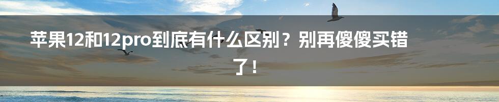 苹果12和12pro到底有什么区别？别再傻傻买错了！