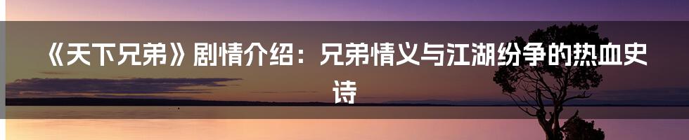 《天下兄弟》剧情介绍：兄弟情义与江湖纷争的热血史诗