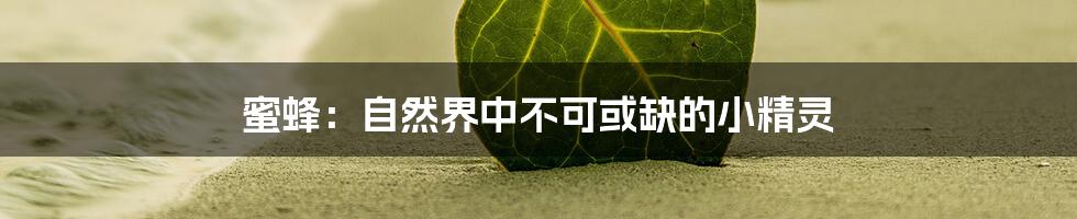 蜜蜂：自然界中不可或缺的小精灵