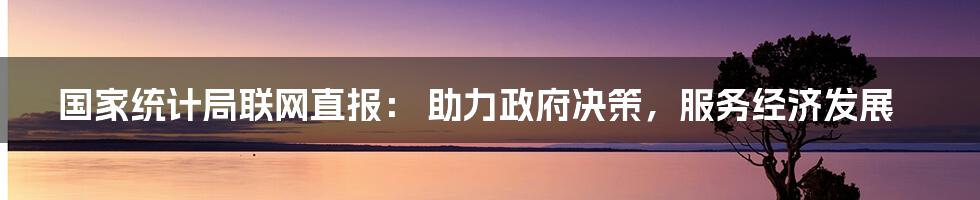 国家统计局联网直报： 助力政府决策，服务经济发展