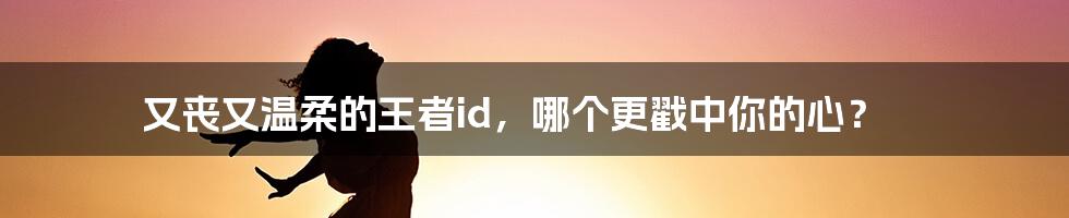 又丧又温柔的王者id，哪个更戳中你的心？