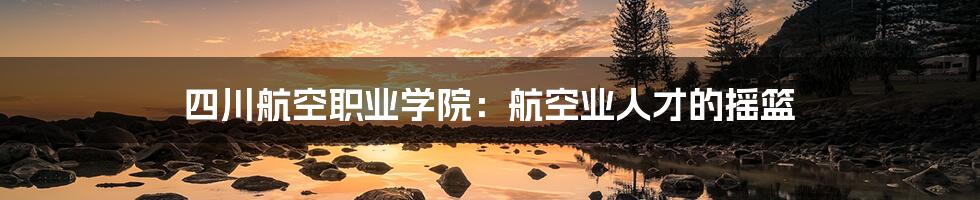 四川航空职业学院：航空业人才的摇篮