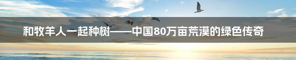 和牧羊人一起种树——中国80万亩荒漠的绿色传奇