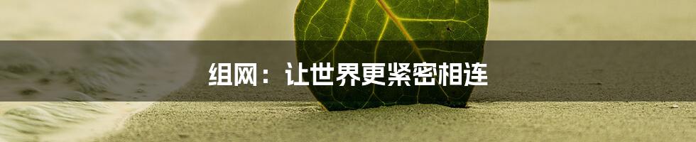 组网：让世界更紧密相连