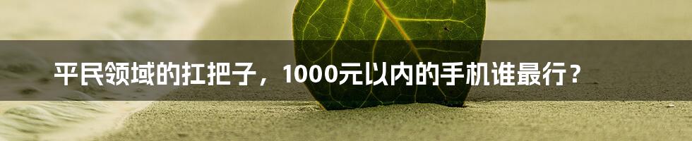 平民领域的扛把子，1000元以内的手机谁最行？