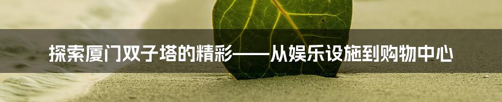 探索厦门双子塔的精彩——从娱乐设施到购物中心