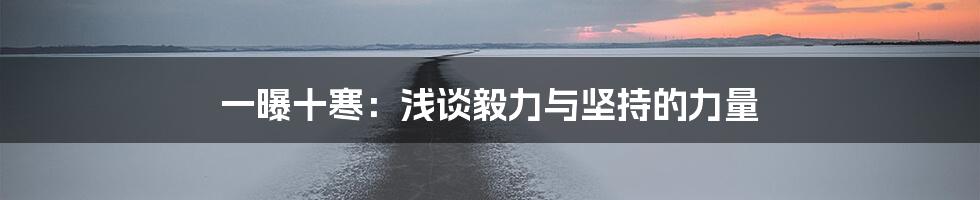 一曝十寒：浅谈毅力与坚持的力量