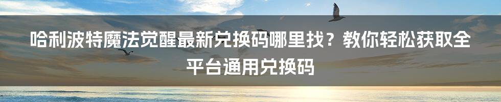 哈利波特魔法觉醒最新兑换码哪里找？教你轻松获取全平台通用兑换码