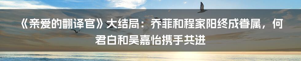 《亲爱的翻译官》大结局：乔菲和程家阳终成眷属，何君白和吴嘉怡携手共进