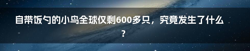 自带饭勺的小鸟全球仅剩600多只，究竟发生了什么？