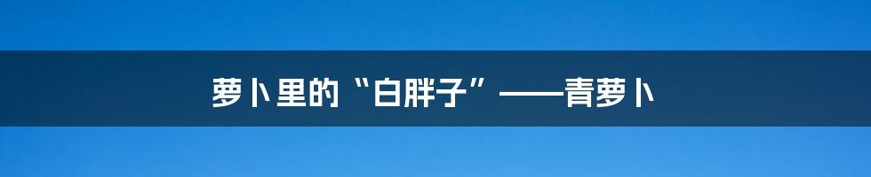 萝卜里的“白胖子”——青萝卜