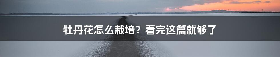 牡丹花怎么栽培？看完这篇就够了