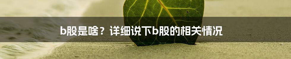 b股是啥？详细说下b股的相关情况