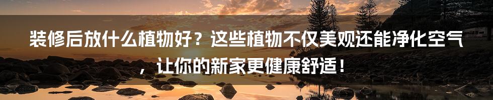 装修后放什么植物好？这些植物不仅美观还能净化空气，让你的新家更健康舒适！