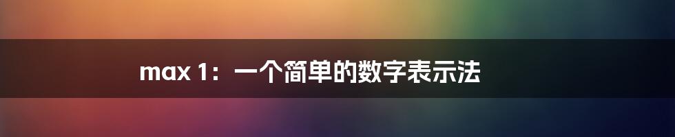 max 1：一个简单的数字表示法