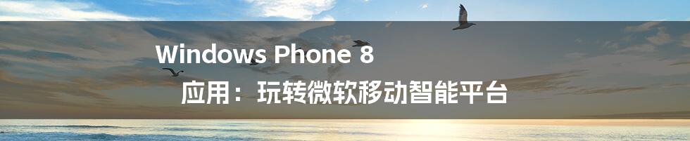 Windows Phone 8 应用：玩转微软移动智能平台