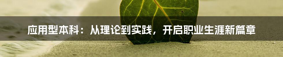 应用型本科：从理论到实践，开启职业生涯新篇章