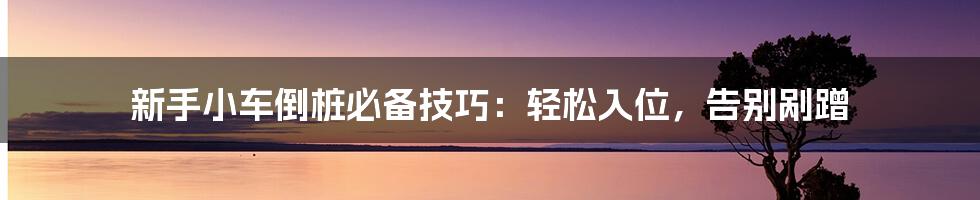 新手小车倒桩必备技巧：轻松入位，告别剐蹭