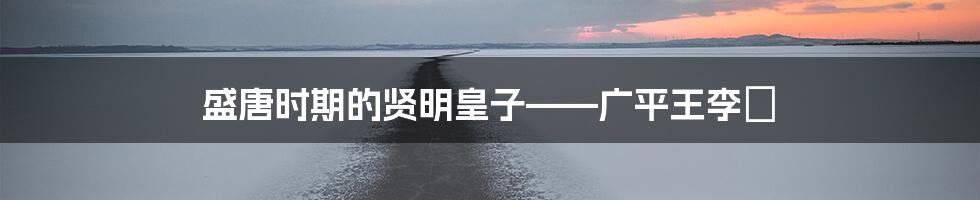 盛唐时期的贤明皇子——广平王李俶