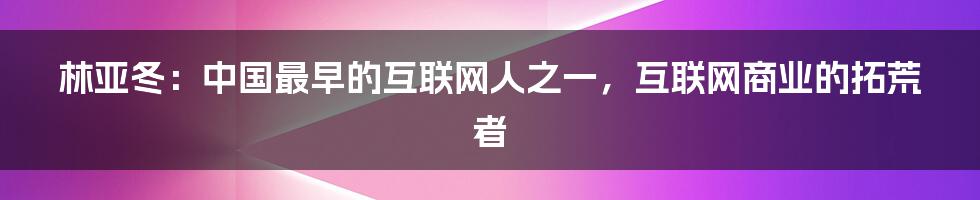 林亚冬：中国最早的互联网人之一，互联网商业的拓荒者