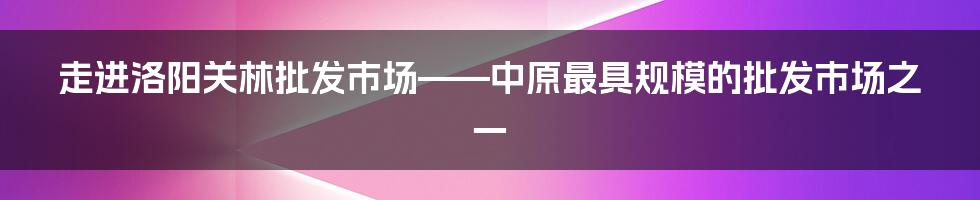 走进洛阳关林批发市场——中原最具规模的批发市场之一