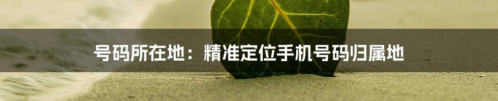 号码所在地：精准定位手机号码归属地