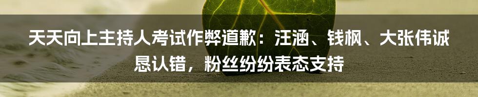 天天向上主持人考试作弊道歉：汪涵、钱枫、大张伟诚恳认错，粉丝纷纷表态支持