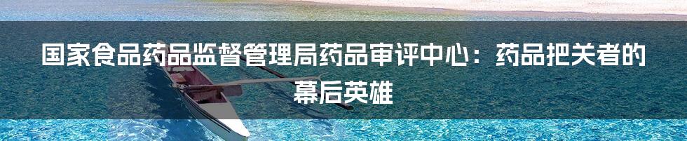 国家食品药品监督管理局药品审评中心：药品把关者的幕后英雄