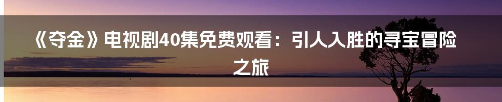 《夺金》电视剧40集免费观看：引人入胜的寻宝冒险之旅