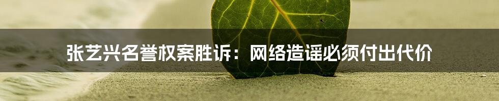 张艺兴名誉权案胜诉：网络造谣必须付出代价