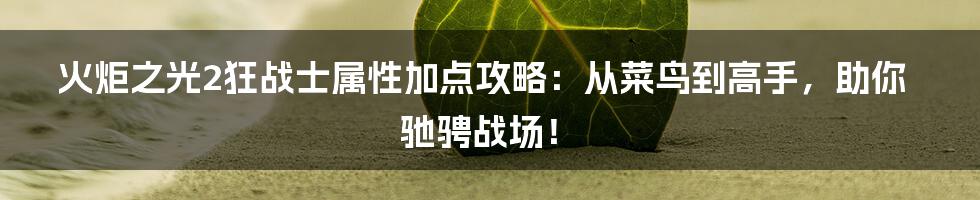 火炬之光2狂战士属性加点攻略：从菜鸟到高手，助你驰骋战场！