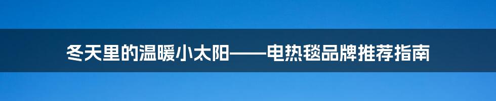 冬天里的温暖小太阳——电热毯品牌推荐指南