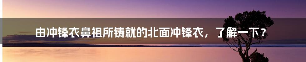 由冲锋衣鼻祖所铸就的北面冲锋衣，了解一下？