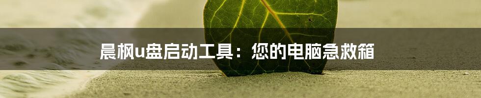 晨枫u盘启动工具：您的电脑急救箱