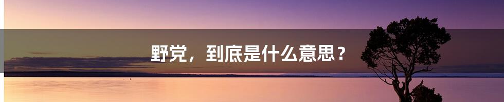 野党，到底是什么意思？