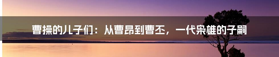 曹操的儿子们：从曹昂到曹丕，一代枭雄的子嗣