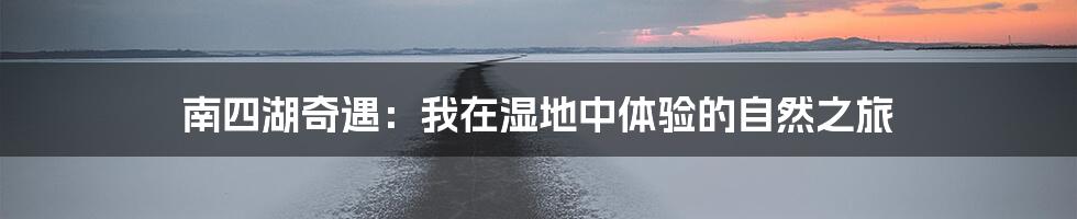 南四湖奇遇：我在湿地中体验的自然之旅